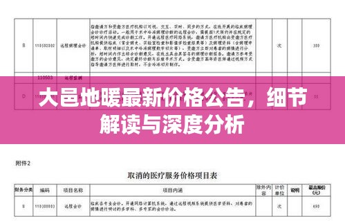 大邑地暖最新价格公告，细节解读与深度分析
