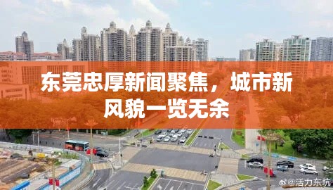 东莞忠厚新闻聚焦，城市新风貌一览无余
