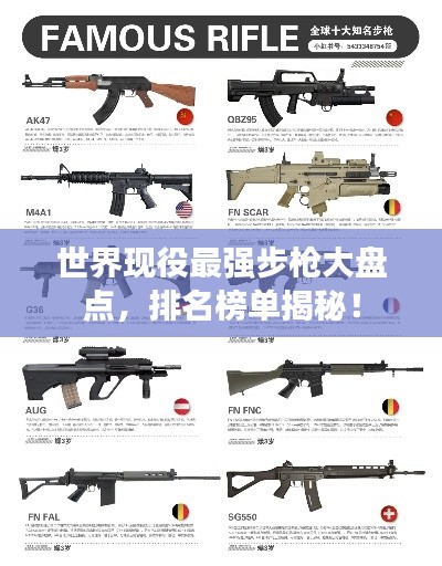 世界现役最强步枪大盘点，排名榜单揭秘！