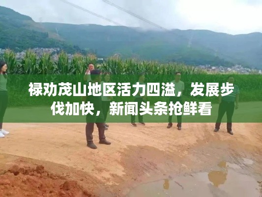 禄劝茂山地区活力四溢,发展步伐加快,新闻头条抢鲜看