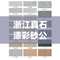 浙江真石漆彩砂公司排名揭晓,行业领先的几家企业榜单!