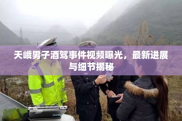 天峨男子酒驾事件视频曝光，最新进展与细节揭秘