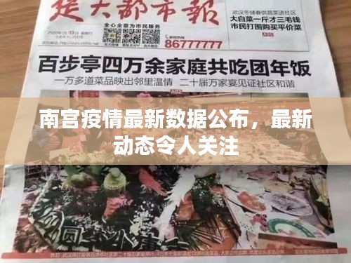 南宫疫情最新数据公布,最新动态令人关注