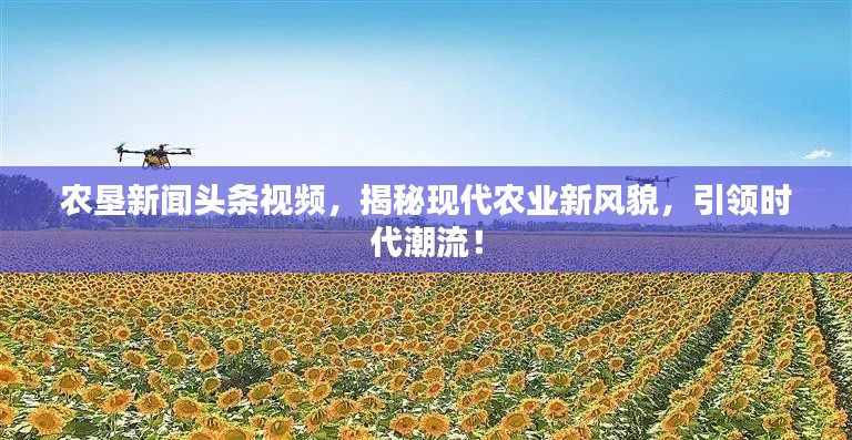 农垦新闻头条视频，揭秘现代农业新风貌，引领时代潮流！