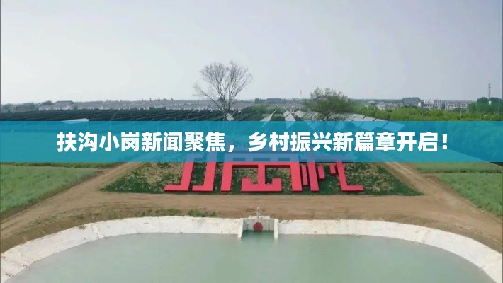 扶沟小岗新闻聚焦,乡村振兴新篇章开启!