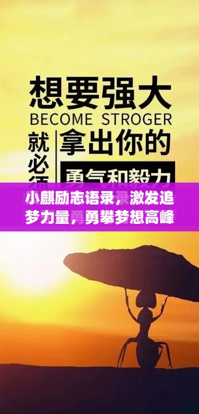 小麒励志语录，激发追梦力量，勇攀梦想高峰