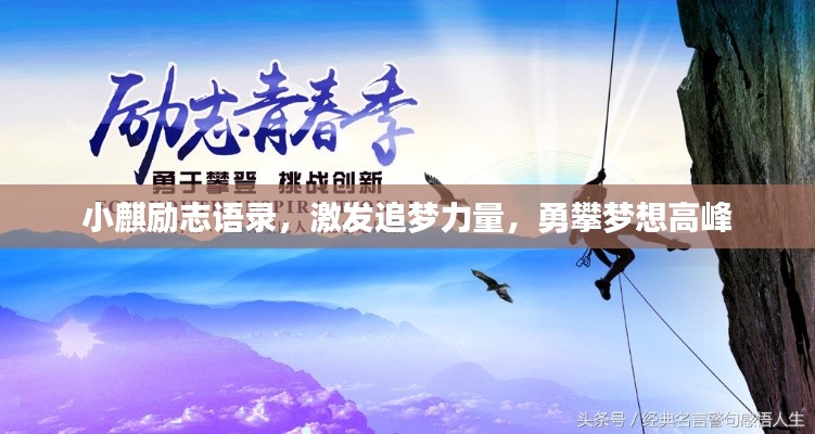 小麒励志语录,激发追梦力量,勇攀梦想高峰