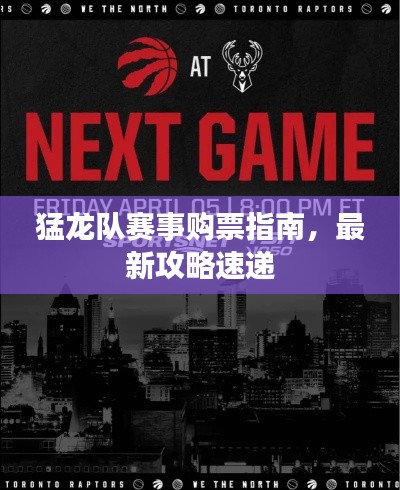 猛龙队赛事购票指南，最新攻略速递