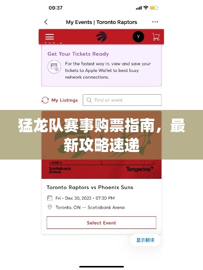 猛龙队赛事购票指南,最新攻略速递