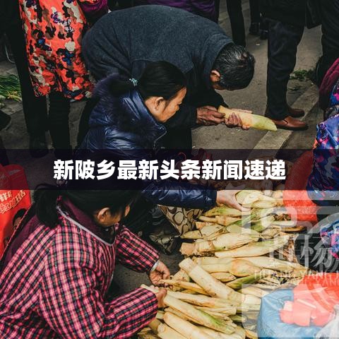 新陂乡最新头条新闻速递