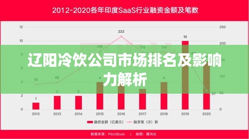 辽阳冷饮公司市场排名及影响力解析