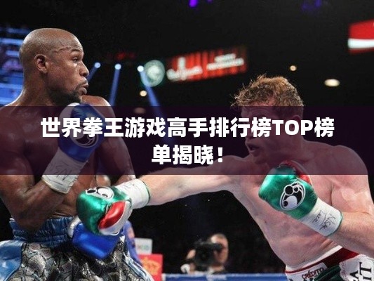 世界拳王游戏高手排行榜TOP榜单揭晓！