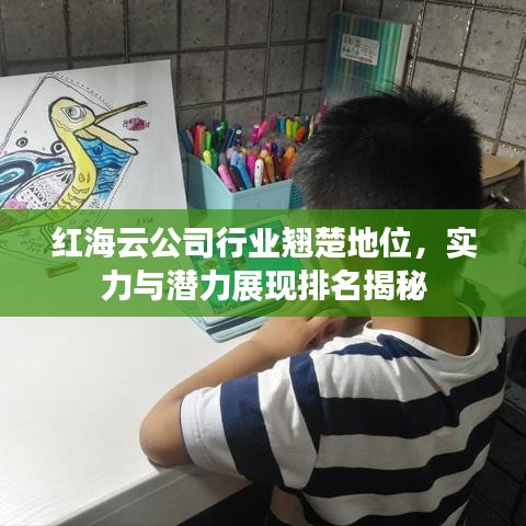 红海云公司行业翘楚地位,实力与潜力展现排名揭秘