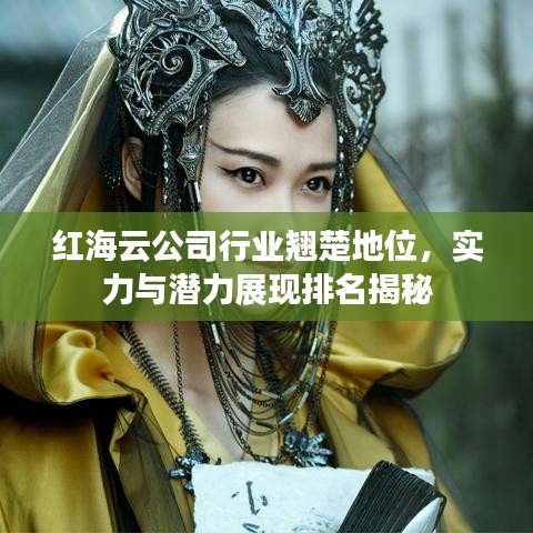 红海云公司行业翘楚地位,实力与潜力展现排名揭秘