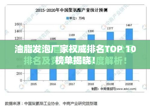油脂发泡厂家权威排名TOP 10榜单揭晓！