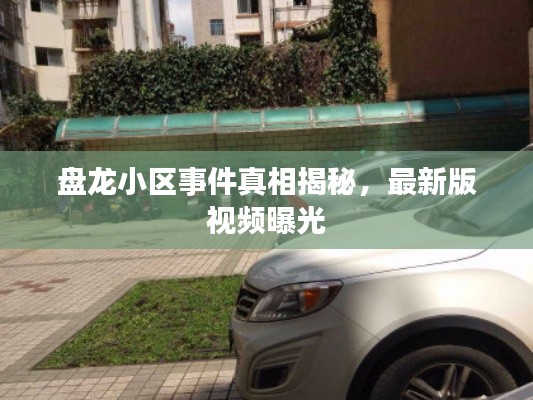 盘龙小区事件真相揭秘,最新版视频曝光