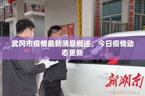武冈市疫情最新消息概述,今日疫情动态更新