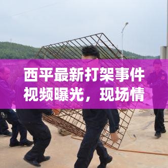 西平最新打架事件视频曝光，现场情况令人震惊！