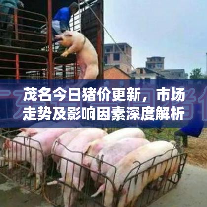 茂名今日猪价更新，市场走势及影响因素深度解析