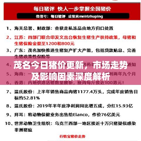 茂名今日猪价更新,市场走势及影响因素深度解析