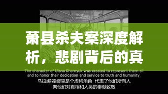 萧县杀夫案深度解析，悲剧背后的真相与启示