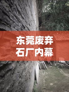 东莞废弃石厂内幕揭秘，最新消息视频探秘荒废工厂的秘密
