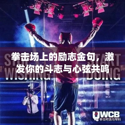 拳击场上的励志金句,激发你的斗志与心弦共鸣