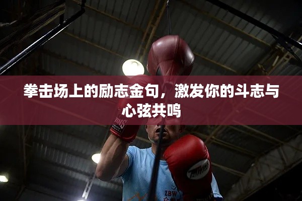 拳击场上的励志金句,激发你的斗志与心弦共鸣
