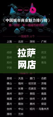 拉萨网店TOP10榜单揭秘,热门店铺的魅力与独特特色