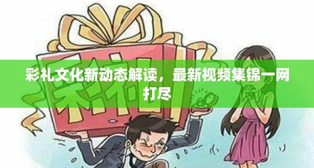 彩礼文化新动态解读，最新视频集锦一网打尽