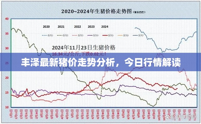 丰泽最新猪价走势分析,今日行情解读