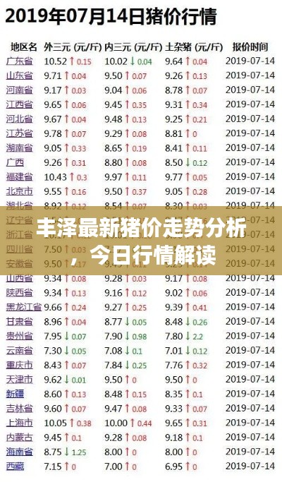 丰泽最新猪价走势分析,今日行情解读