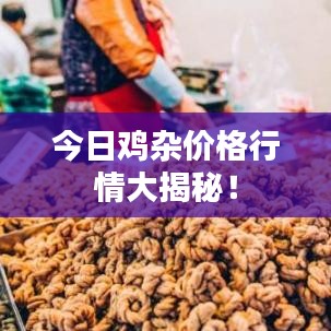 今日鸡杂价格行情大揭秘!