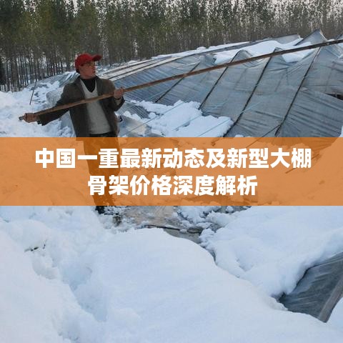 中国一重最新动态及新型大棚骨架价格深度解析