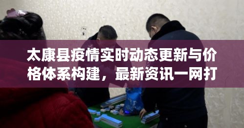 太康县疫情实时动态更新与价格体系构建，最新资讯一网打尽