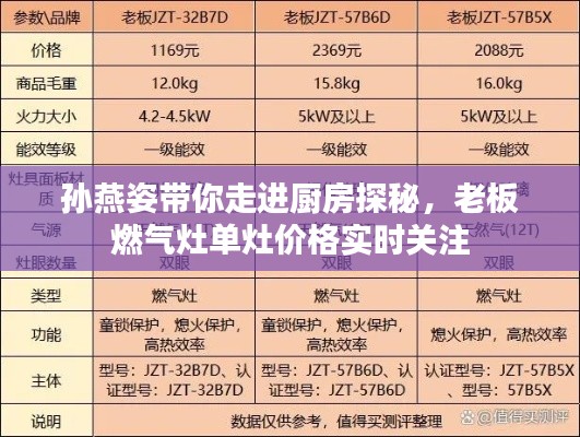 孙燕姿带你走进厨房探秘,老板燃气灶单灶价格实时关注