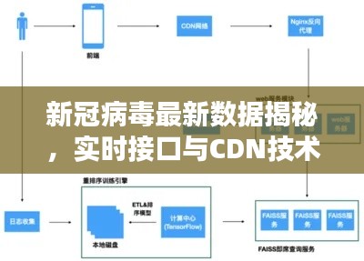 新冠病毒最新数据揭秘，实时接口与CDN技术助力疫情防控追踪