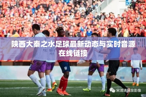 陕西大秦之水足球最新动态与实时音源在线链接