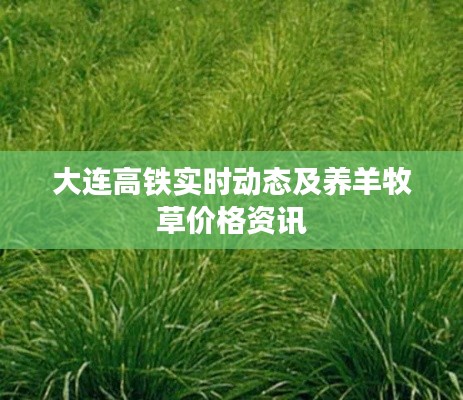 大连高铁实时动态及养羊牧草价格资讯