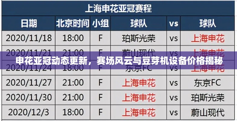 申花亚冠动态更新，赛场风云与豆芽机设备价格揭秘