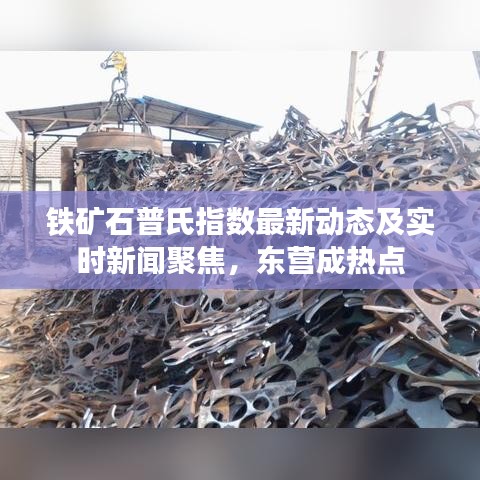 铁矿石普氏指数最新动态及实时新闻聚焦,东营成热点