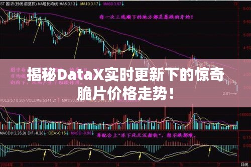 揭秘DataX实时更新下的惊奇脆片价格走势！