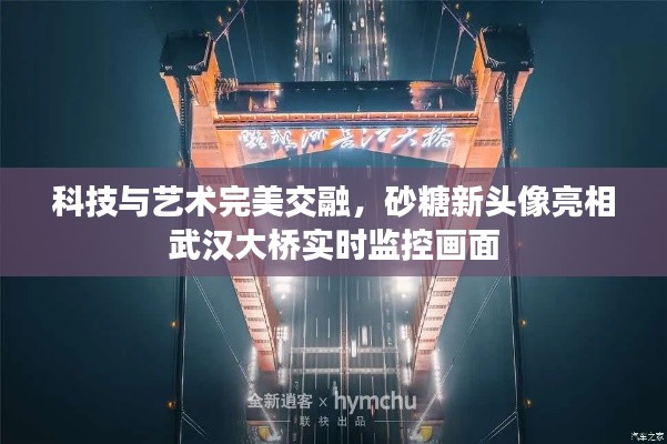 科技与艺术完美交融,砂糖新头像亮相武汉大桥实时监控画面