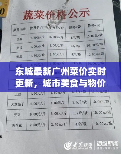 东城最新广州菜价实时更新,城市美食与物价新动态探索