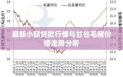 最新小额贷款行情与甘谷毛猪价格走势分析