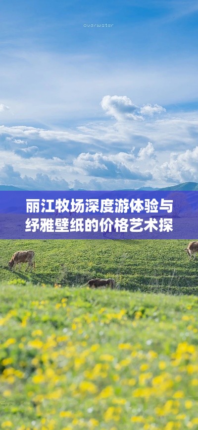 丽江牧场深度游体验与纾雅壁纸的价格艺术探秘