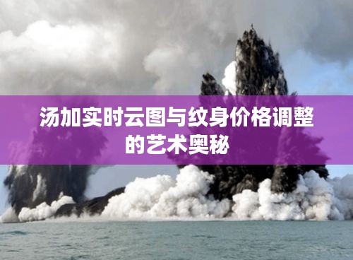 汤加实时云图与纹身价格调整的艺术奥秘