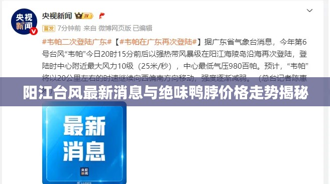 阳江台风最新消息与绝味鸭脖价格走势揭秘