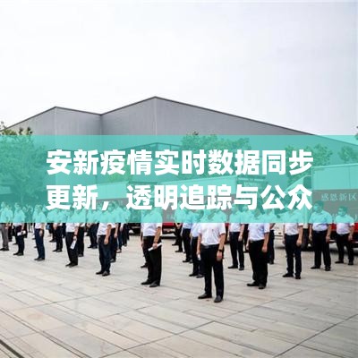 安新疫情实时数据同步更新，透明追踪与公众信息共享