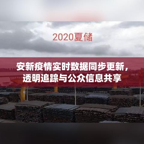 安新疫情实时数据同步更新,透明追踪与公众信息共享
